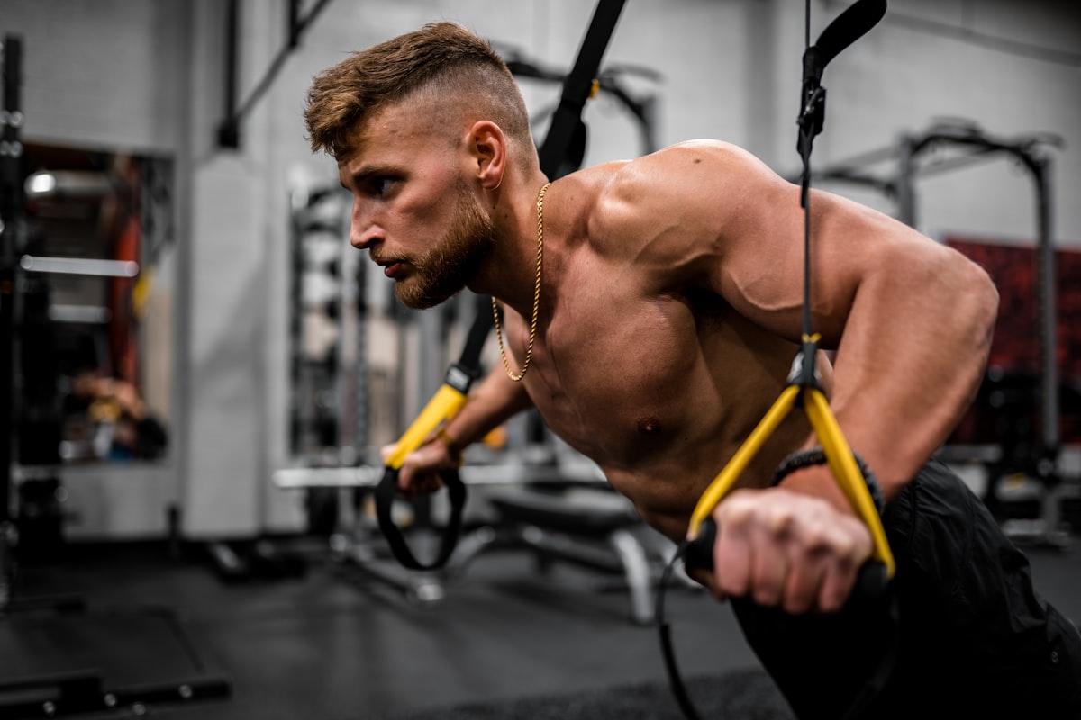 Muscle building and training